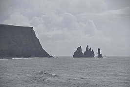 DSC01756 -1_t.jpg